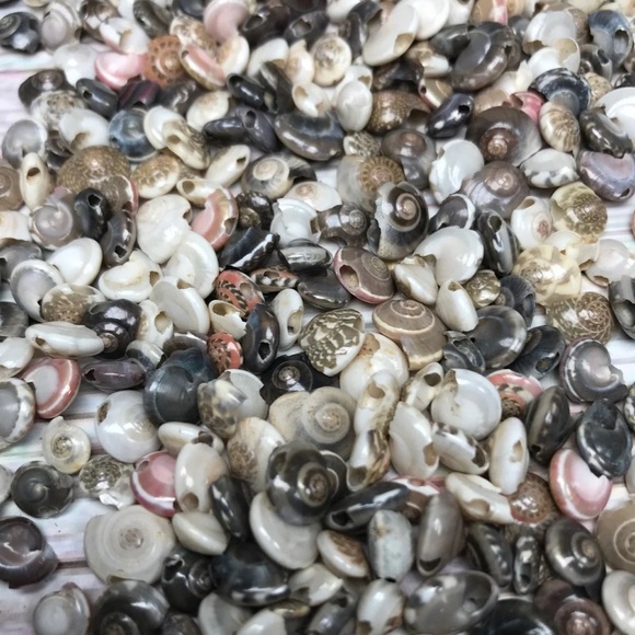 100+ Pcs Real Button TOP Seashells Beads Mixed Lot Jewelry Making DIY Shells - Picture 3 of 12